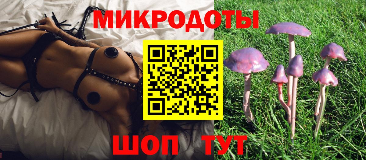 Галлюциногенные грибы GOLDEN TEACHER  Вход с VPN  Иркутск 