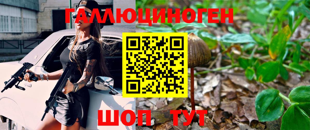 Псилоцибиновые грибы мицелий Иркутск